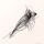 Miserable Bird